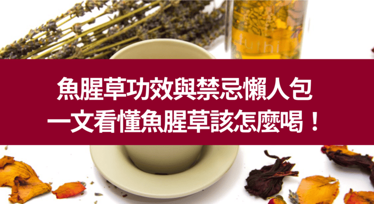 魚腥草功效與禁忌的終極懶人包！